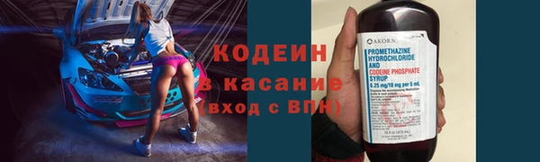 индика Липки