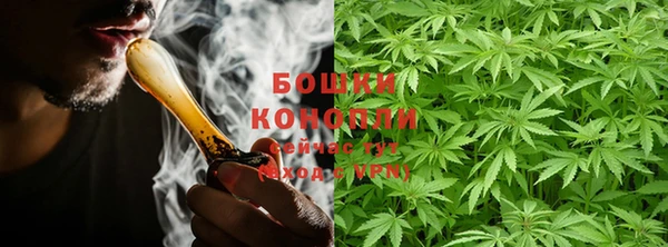 индика Липки